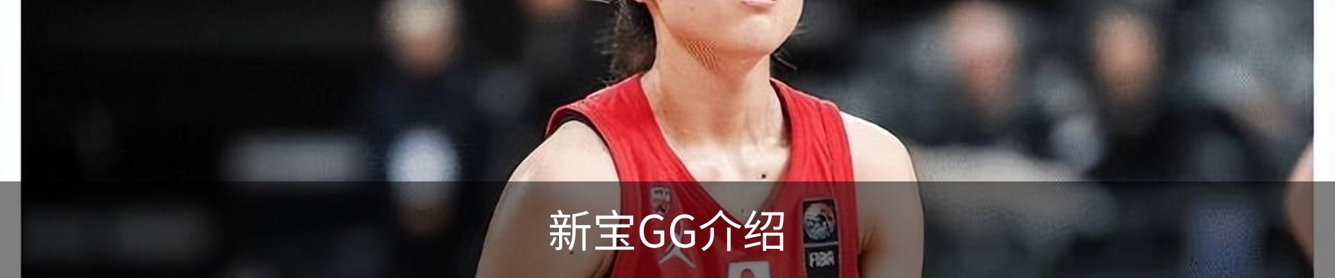 新宝GG介绍