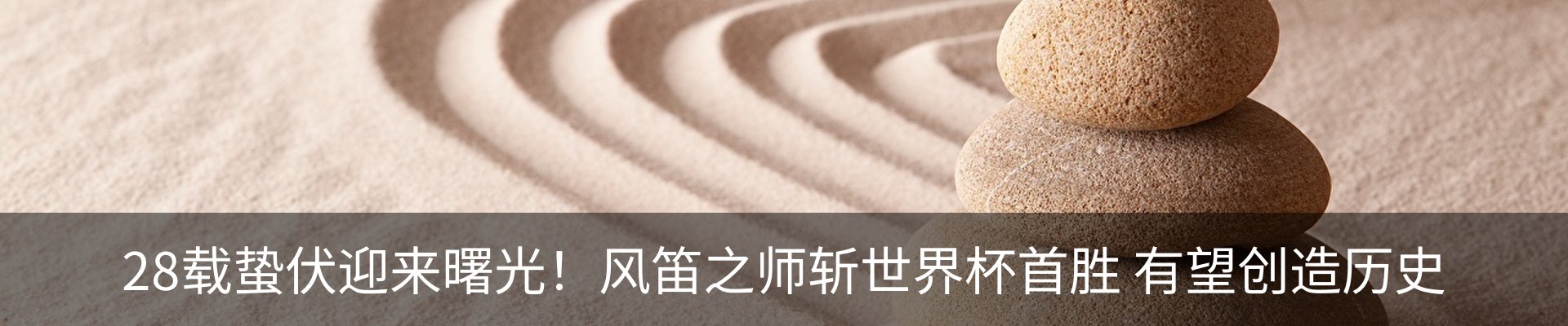 最新动态